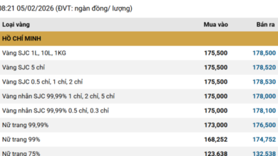 انخفاض قياسي في أسعار الذهب: شركة SJC تخفض أسعارها بما يصل إلى 2.4 مليون دونغ فيتنامي وسط تراجع عالمي إلى 4800 دولار أمريكي
