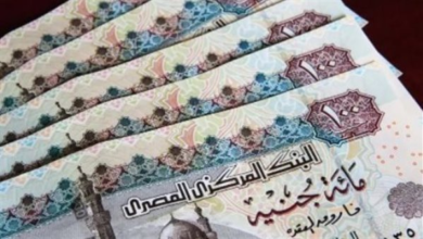 انفراجة مالية قريبة لموظفي الجهاز الإداري مع مواعيد صرف المرتبات المتأخرة لشهري فبراير ومارس 2026