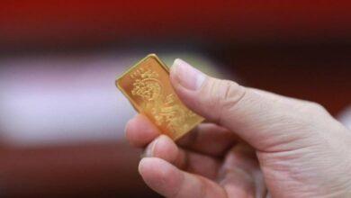 بالطبع، إليك العنوان المحسن بأسلوب صحفي احترافي وجذاب، مع حذف كلمة "الأسبوع" وتحقيق الانخفاض المطلوب:
"تراجع مفاجئ بقيمة حوالي 2 مليون دونغ فيتنامي لكل تايل"