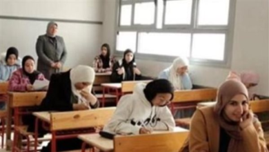 بوابة النتائج.. الرابط الرسمي للاستعلام عن درجات الشهادة الإعدادية في بورسعيد برقم الجلوس
