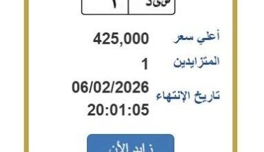 بوابة مرور مصر تطرح لوحة معدنية فريدة بقيمة 425 ألف جنيه خطوة التقديم وأهم التفاصيل