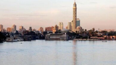 تأسيس 2629 شركة جديدة في مصر خلال العام الماضي يدعم نمو القطاع الاقتصادي