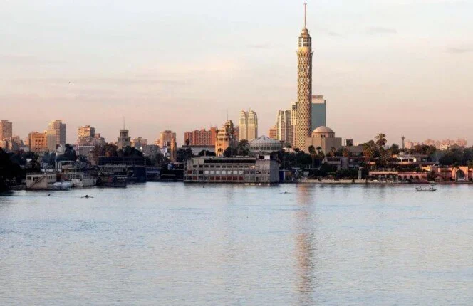 تأسيس 2629 شركة جديدة في مصر خلال العام الماضي يدعم نمو القطاع الاقتصادي