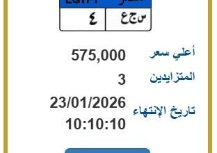 تجاوزت نصف مليون جنيه في مزايدة نارية على لوحة سيارة مميزة