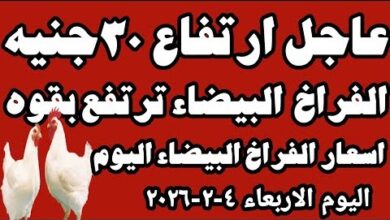 تحديث أسعار كرتونة البيض اليوم الأحد في بورصة الدواجن وأحدث التغييرات للمستهلك