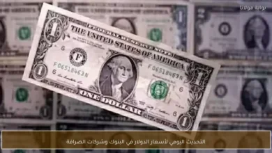 تحديث يومي لأسعار الدولار في البنوك وشركات الصرافة يسلط الضوء على التحركات السوقية الراهنة