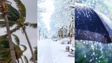 تحيين النشرة الإنذارية يتوقع أمطارا غزيرة أحياناً رعدية وتساقطات ثلجية وهبات رياح قوية من الثلاثاء إلى الأربعاء بعدة مناطق في المملكة