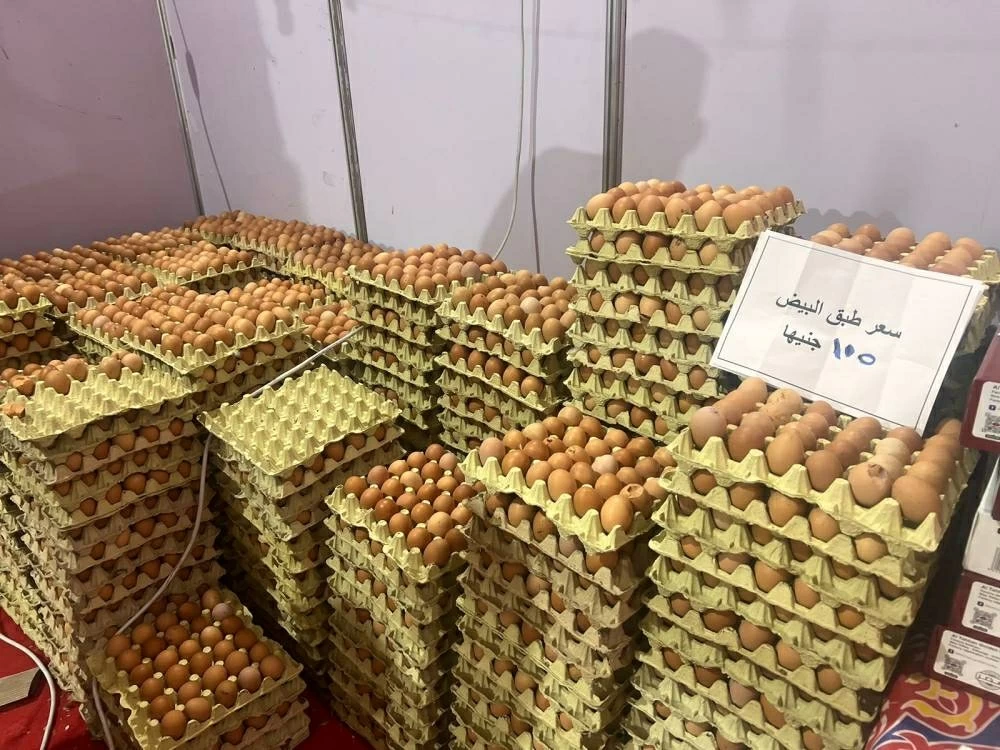 تخفيضات تصل إلى 25 بالمئة على السلع وأرخص طبق بيض في معرض أهلًا رمضان بالدقي