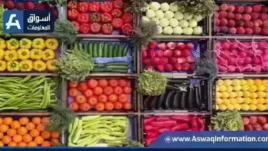 تراجع أسعار الطماطم وخضروات أخرى في سوق العبور اليوم الأحد