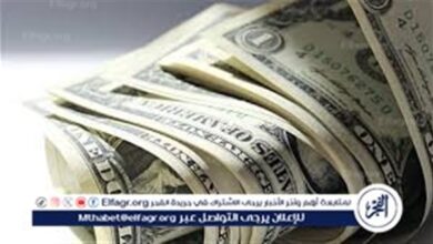 تراجع سعر الدولار مقابل الجنيه عند منتصف تعاملات اليوم الأربعاء