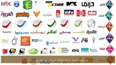 تردد قناة طيور الجنة لعام 2026 على نايل وسهيل عرب سات يتصدر محركات البحث