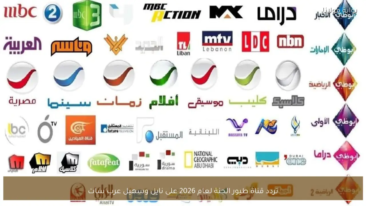 تردد قناة طيور الجنة لعام 2026 على نايل وسهيل عرب سات يتصدر محركات البحث