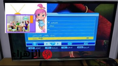 تردد قناة وناسة بيبي Wanasah Baby 2025 لمتابعة أفضل برامج الكرتون المسلية لطفلك بجودة عالية HD