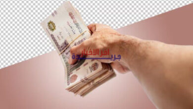 تفاصيل أعلى عائد على شهادات الادخار لأجل سنة وثلاث سنوات قبل اجتماع المركزي