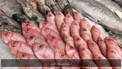 تفاوت أسعار الأسماك في سوق العبور للجملة خلال يوم الأربعاء 4 فبراير 2026
