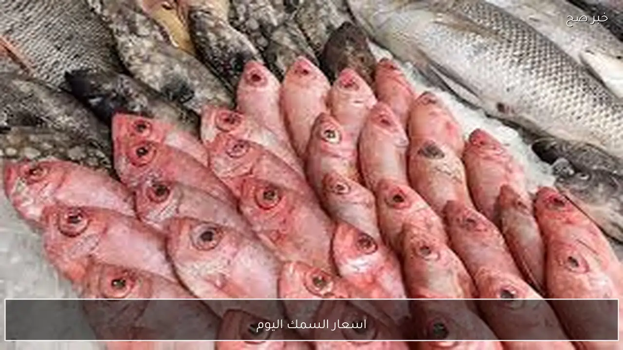 تفاوت أسعار الأسماك في سوق العبور للجملة خلال يوم الأربعاء 4 فبراير 2026