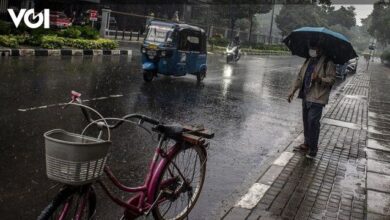 توقعات الطقس تشير إلى استمرار هطول أمطار خفيفة طوال اليوم