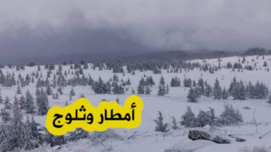 توقعات بامطار غزيرة وتساقط كثيف للثلوج على عدة ولايات غدا الثلاثاء