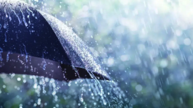 توقعات بهطول أمطار رعدية على عدة ولايات خلال أيام الأربعاء والخميس