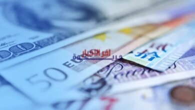 توقعات بوصول قيمة الودائع بالعملات الأجنبية في البنوك التجارية إلى 62.9 مليار دولار بنهاية 2025