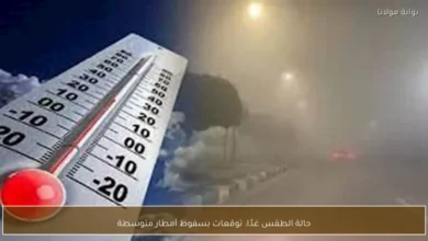 توقعات حالة الطقس غدا مع استمرارية هطول الأمطار المتوسطة