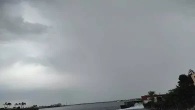 توقعات حالة الطقس ودرجات الحرارة ورياح وأمطار اليوم الأحد 1 فبراير 2026