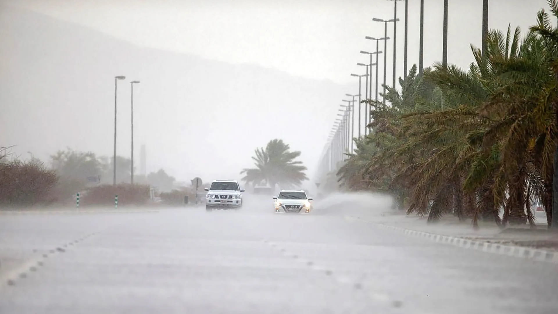 حالة الطقس تتسم بغيوم جزئية مع احتمال هطول أمطار وضباب في بعض المناطق