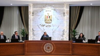 دول متقدمة تتصدر جهود حوكمة وسائل التواصل لحماية النشء