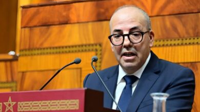 زيادة أعداد الحيوانات لا تؤثر مباشرة على أسعار اللحوم