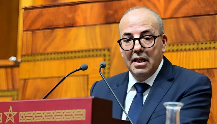 زيادة أعداد الحيوانات لا تؤثر مباشرة على أسعار اللحوم