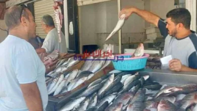 سعر الجمبري والسبيط والأسماك في الأسواق اليوم السبت 07 فبراير 2026 يتراجع أو يرتفع بشكل ملحوظ