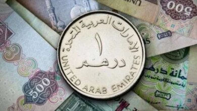 سعر الدرهم الإماراتي مقابل الجنيه المصري اليوم الثلاثاء 3 فبراير 2026 واستقرار في السوق