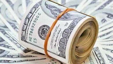 سعر الدولار اليوم الإثنين 2-2-2026 في البنوك المصرية: استقرار وتداولات جديدة