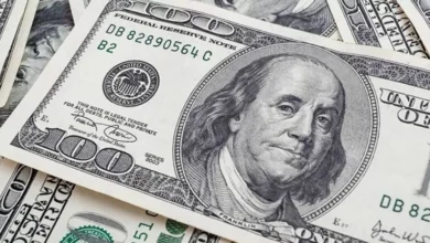 سعر الدولار اليوم الثلاثاء 3-2-2026 يتربع على عرش السوق المالية ويتصدر اهتمامات المستثمرين