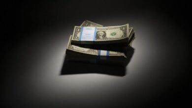 سعر الدولار اليوم في البنوك المصرية.. تحديث لحظي من البنك الأهلي وبنك مصر