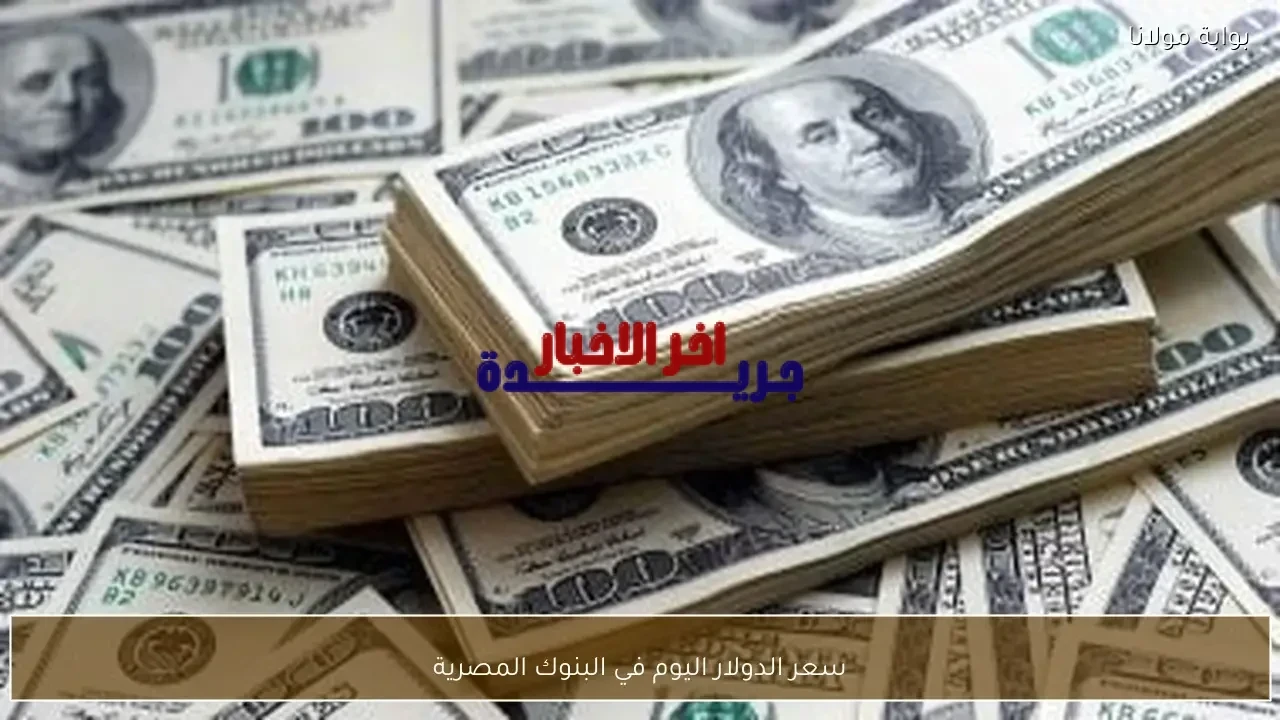 سعر الدولار اليوم في البنوك المصرية.. متابعة حية لتغيرات السوق الماليّة