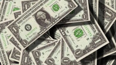 سعر الدولار في مصر اليوم الأحد 1 فبراير 2026 واستقرار العملة الأمريكية خلال الأسبوع