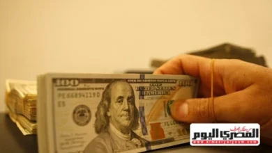 سعر الدولار مقابل الجنيه المصري اليوم الأحد 1-2-2026.. آخر تحديثات البنوك