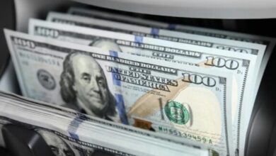 سعر الدولار مقابل الجنيه المصري يتقلب خلال تعاملات اليوم الإثنين 2 فبراير 2026