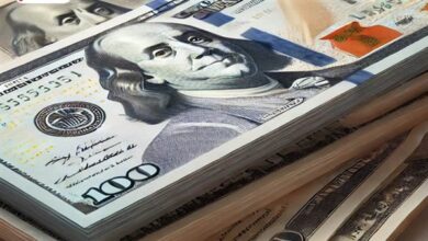 سعر الدولار مقابل الجنيه اليوم الثلاثاء 3 فبراير 2026: استقرار وتوقعات في السوق المالية