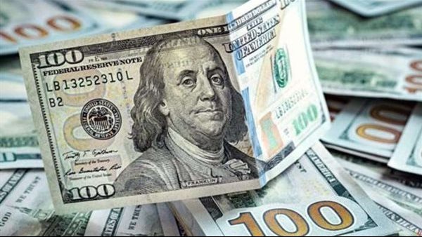 سعر الدولار مقابل الجنيه في البنك المركزي اليوم الثلاثاء 3 فبراير 2026