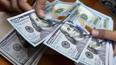 سعر الدولار يظل ثابتًا دون تغيّر كبير في التداولات