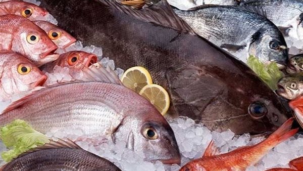سعر السمك اليوم الإثنين 2 فبراير 2026 يتراجع أو يرتفع في الأسواق المصرية