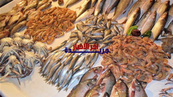 سعر السمك اليوم البلطي الأسواني يسجل 80 جنيها مع ارتفاع في سعر البوري