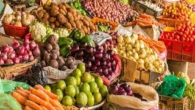 سعر الطماطم والبصل والخضروات في الأسواق اليوم الثلاثاء 3 فبراير 2026