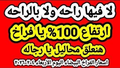 سعر الفراخ البيضاء اليوم الإثنين 2 فبراير 2026 في بورصة الدواجن قبل شهر رمضان