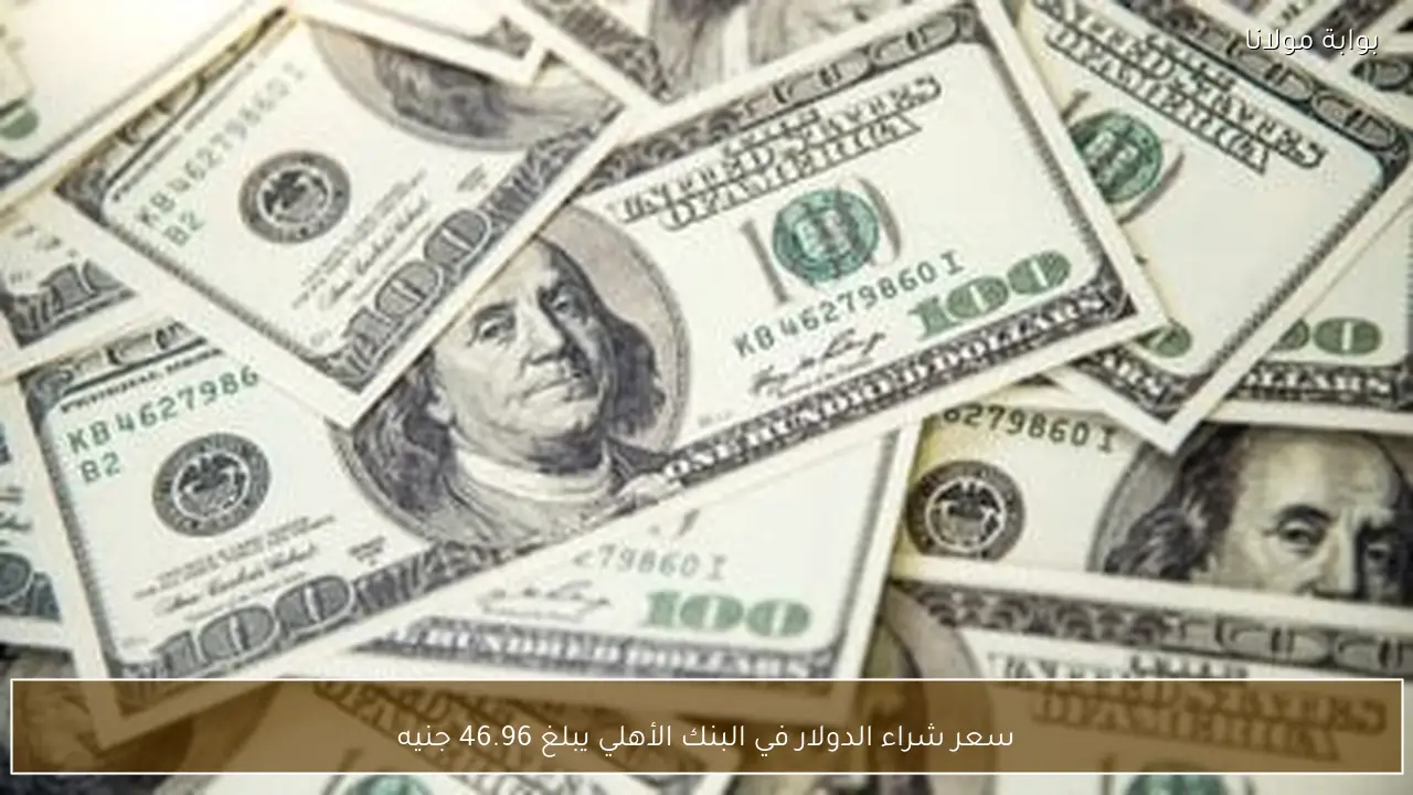 سعر شراء الدولار في البنك الأهلي يواصل التراجع عند 46.96 جنيه