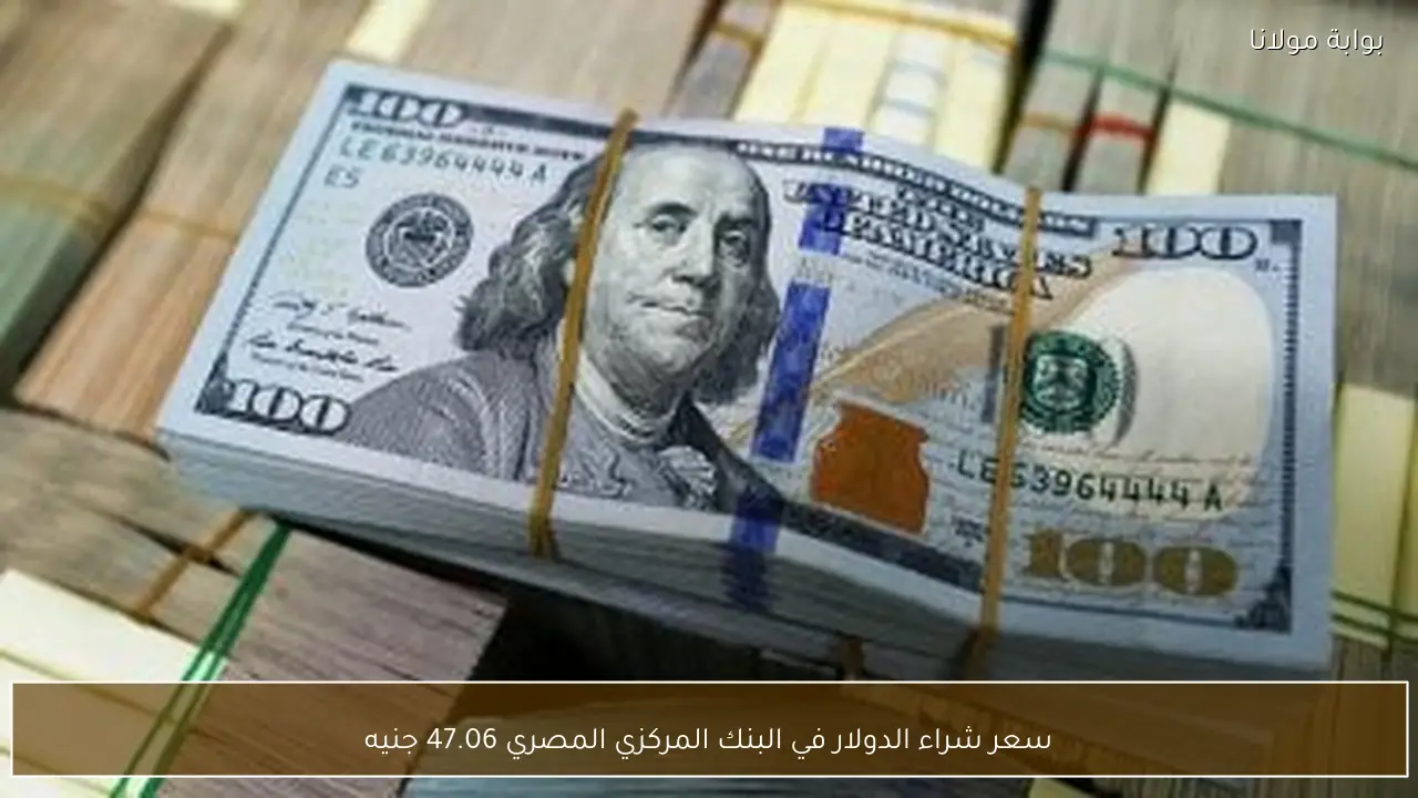 سعر شراء الدولار في البنك المركزي المصري يصل إلى 47.06 جنيه