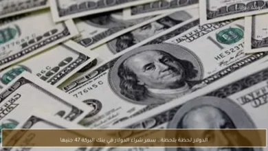 سعر شراء الدولار في بنك البركة يسجل 47 جنيهًا لحظة بلحظة