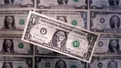 سعر صرف الدولار مقابل الجنيه المصري اليوم الأحد